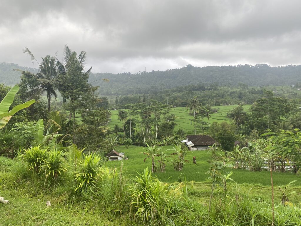 voyage indonesie deux semaines